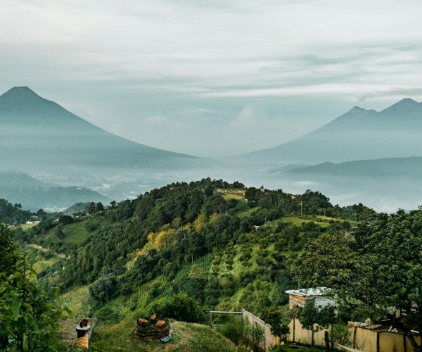 Green plants on hills and Volcan de Fuego mountains on the horizon in Antigua, Guatemala